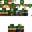 Texture for Link