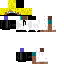 Texture for Forz