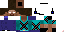 Texture for MrCoolCat