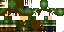 Texture for Link