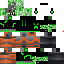 Texture for creeper