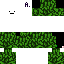 Texture for tree skin