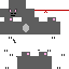 Texture for ninja cat