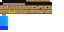 Texture for steve sign
