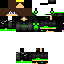 Texture for _stromtiger_