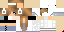 Texture for hou