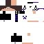 Texture for ERIK2.0