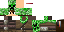 Texture for LEON
