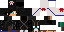 Texture for igor