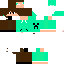 Texture for collboy