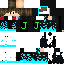 Texture for ninja