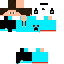 Texture for ALEX
