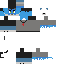 Texture for daniel furry