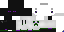 Texture for ender