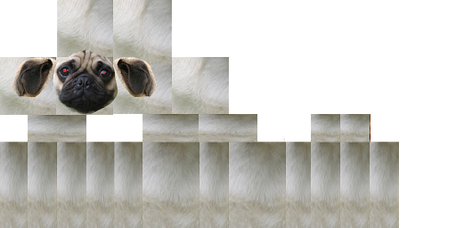 Texture for my dog