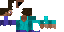 Texture for Steve