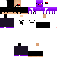 Texture for Steve