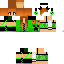 Texture for fox