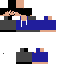 Texture for Crysidis