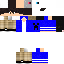 Texture for brunin_bms