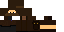 Texture for Lari Miner
