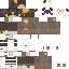 Texture for Bear