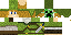 Texture for sombizelda
