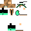 Texture for ghnh