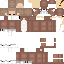 Texture for Bear Boy