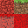 Texture for Grass Block