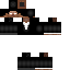 Texture for Steve