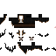 Texture for F8
