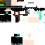 Texture for Link joker