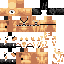 Texture for ds