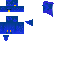 Texture for Blue Bird