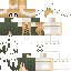Texture for Next Skin