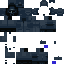 Texture for lider