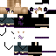 Texture for SkySoar11
