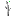 Texture for melon_stem_growth0