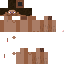 Texture for  steve