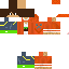 Texture for DISS