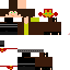 Texture for Link