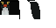 Texture for Penguin Cape Mob Vote 2023