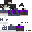 Texture for Enderminx