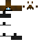 Texture for Bandit_Colin