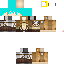 Texture for steve.ping