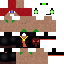 Texture for gilson_junior