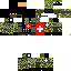 Texture for schweiz skin