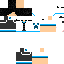 Texture for Skylord number 3