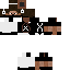 Texture for Moises
